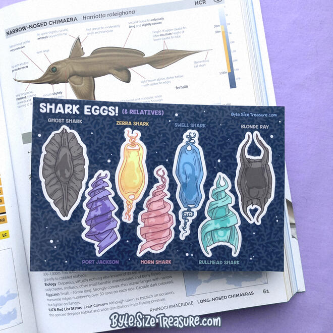 Shark Egg Sticker Sheet