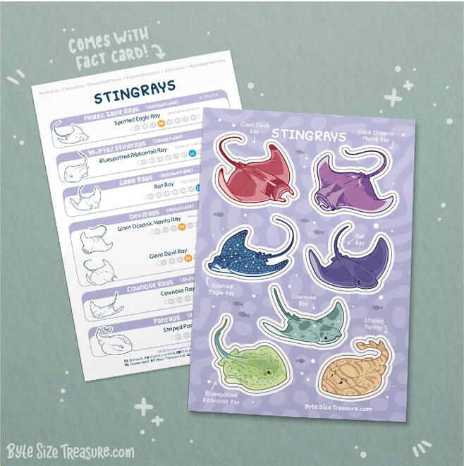 Stingrays Sticker Sheet