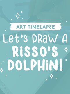 Risso's Dolphin Art Timelapse