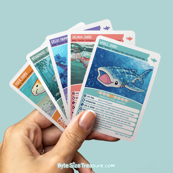 Shark Trading Cards